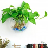 Hanging Glass Flower Planter Vase Terrarium Container Home Garden Ball Decor   